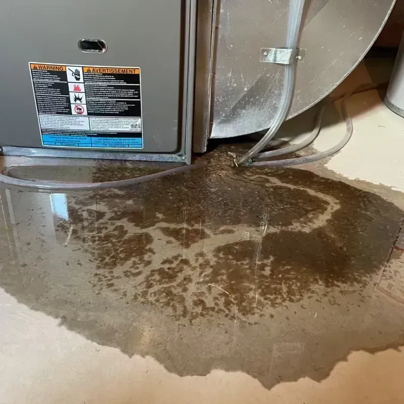 Appliance Leak Cleanup in New Martinsville, WV